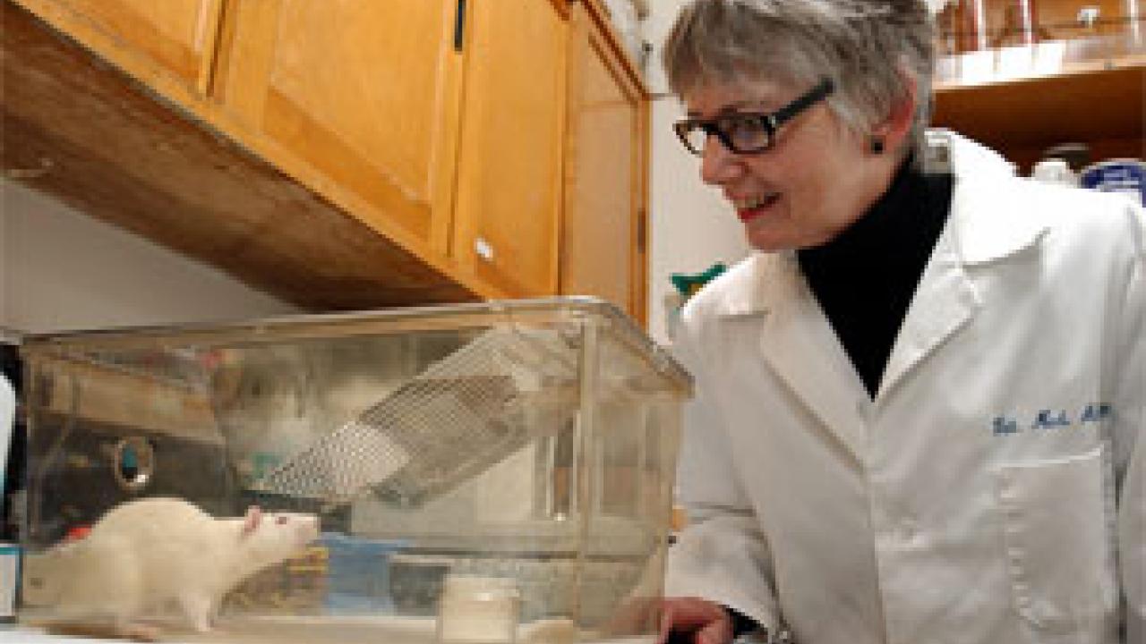 The work of Dorothy Gietzen, professor of anatomy, physiology and cell biology in the School of Veterinary Medicine, could lead to, among other things, a better understanding of why we crave certain foods and how to curb epileptic seizures.