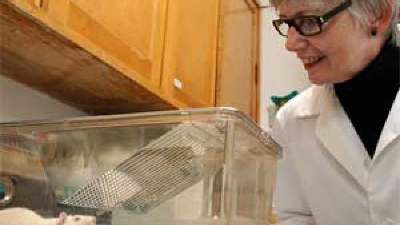 Photo: rat and woman look at each other