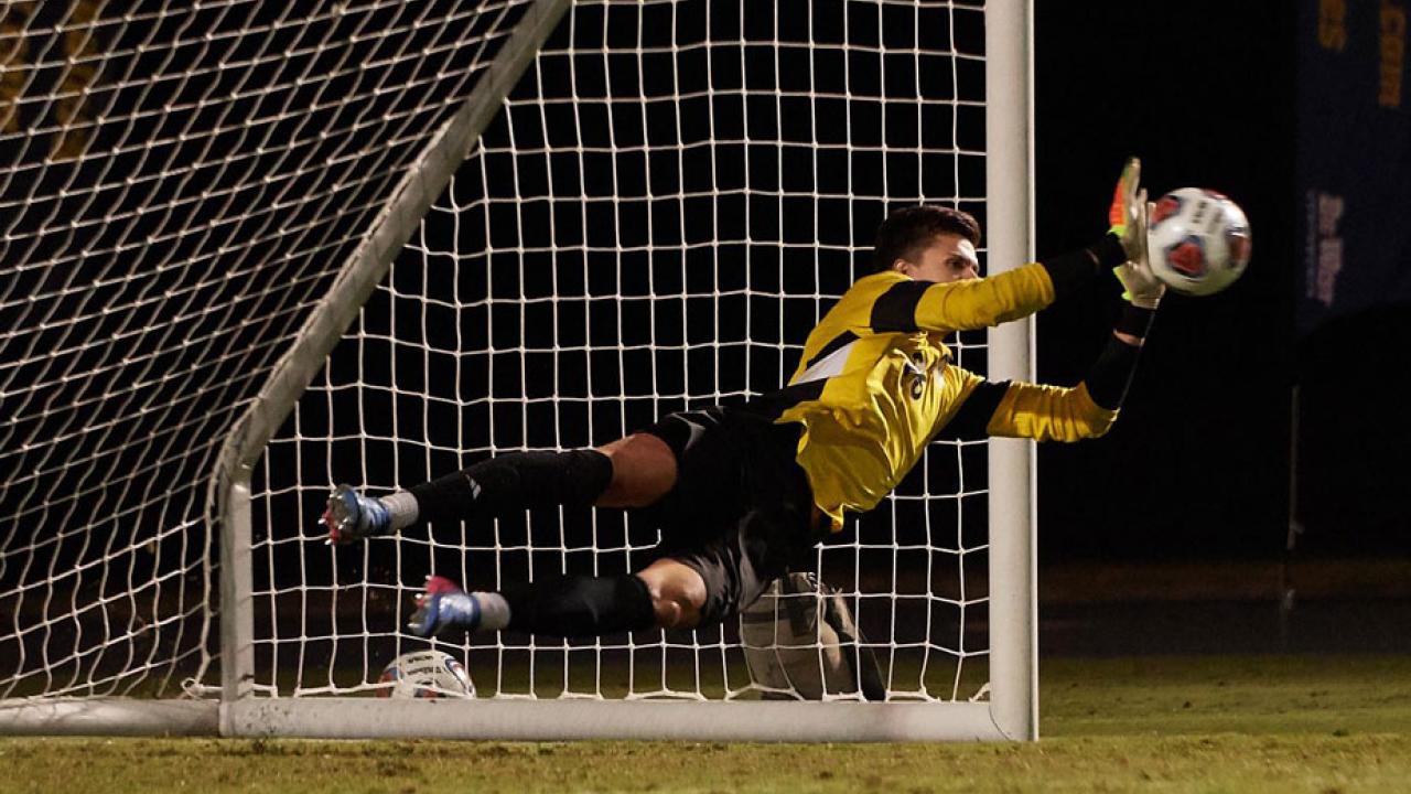 Goalkeeper (almost horizontal) makes save.