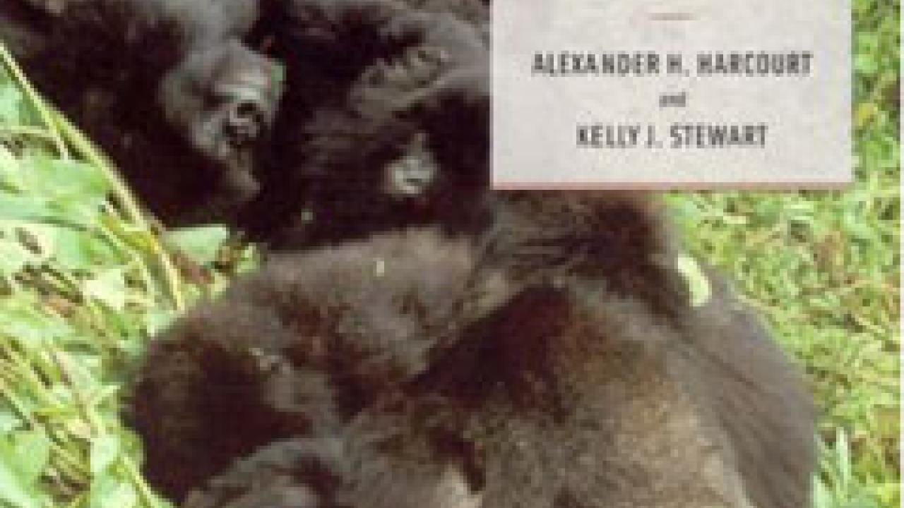 Bookcover: Gorillas with title "Gorilla Society"