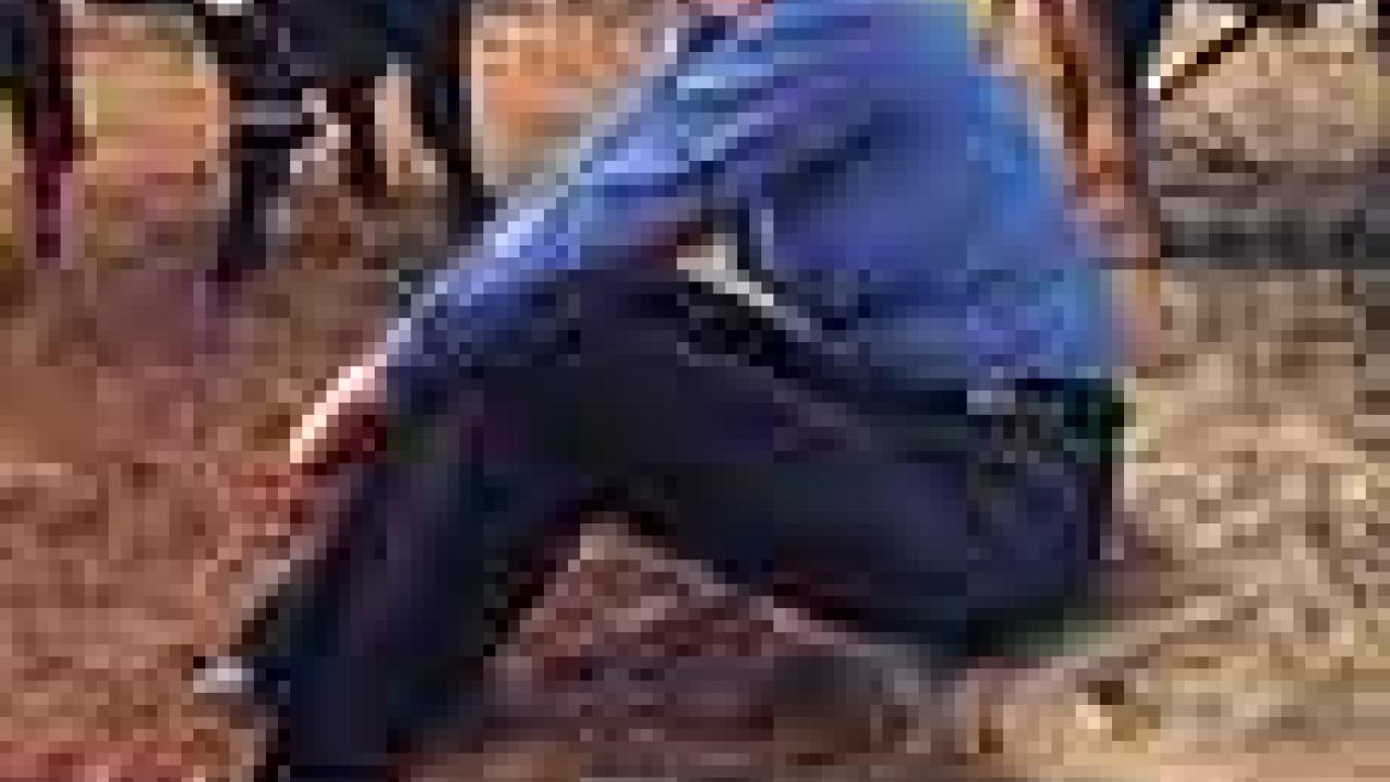 Image: "Thinking in Pictures" book cover (cropped)