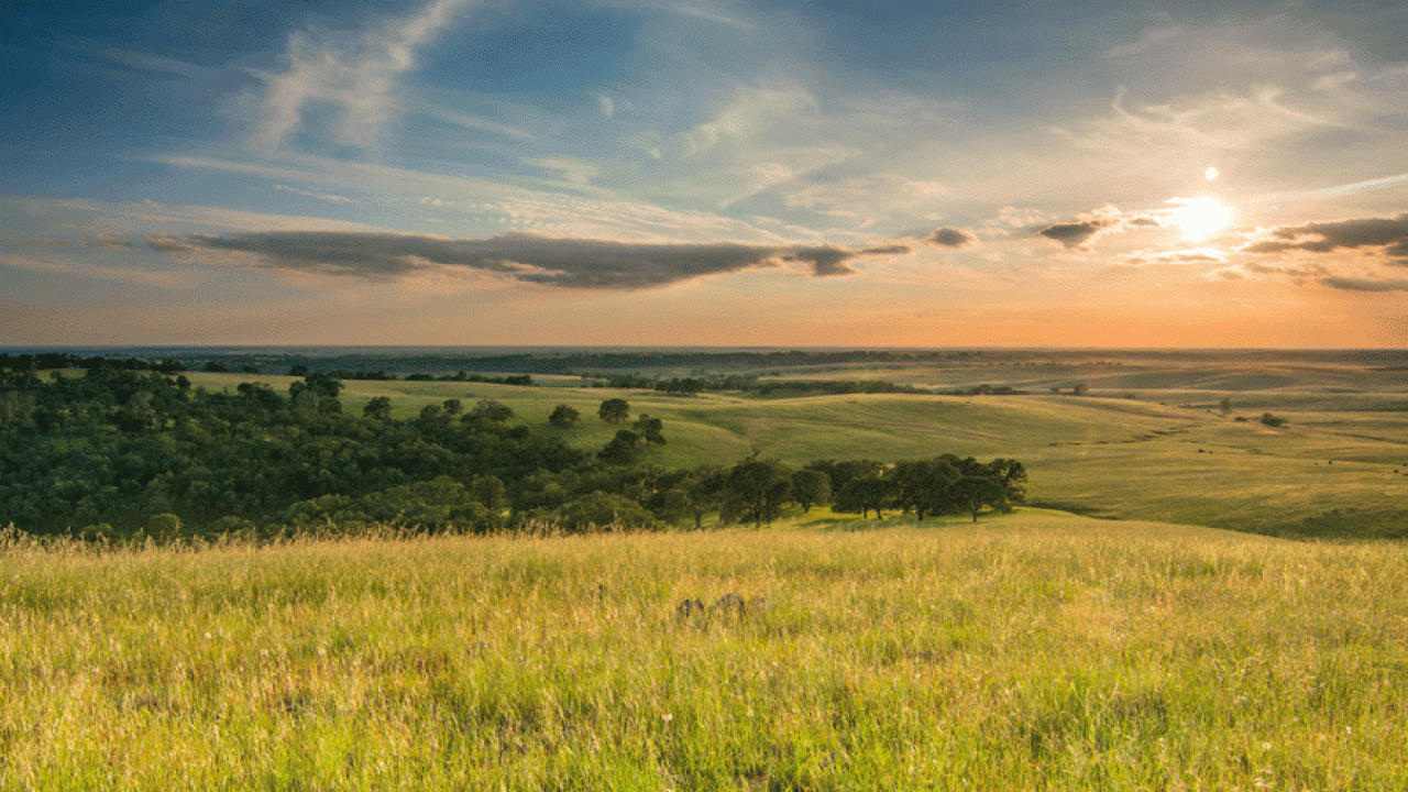 Grasslands under the sun