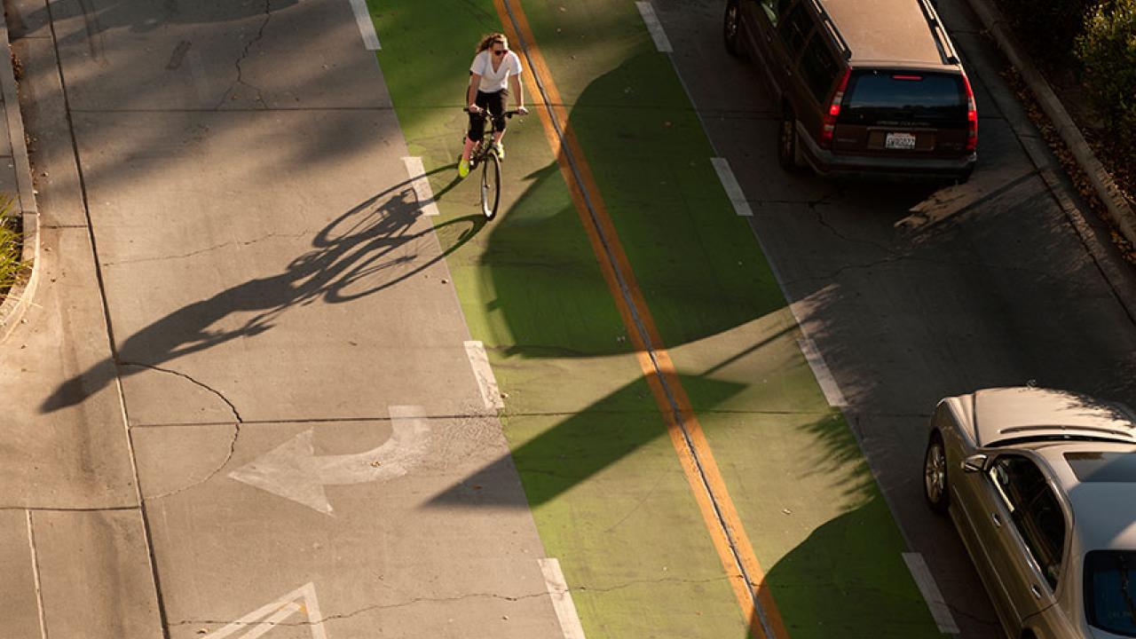 Photo: Green lanes for bicycles in the center of the Dairy Road extension