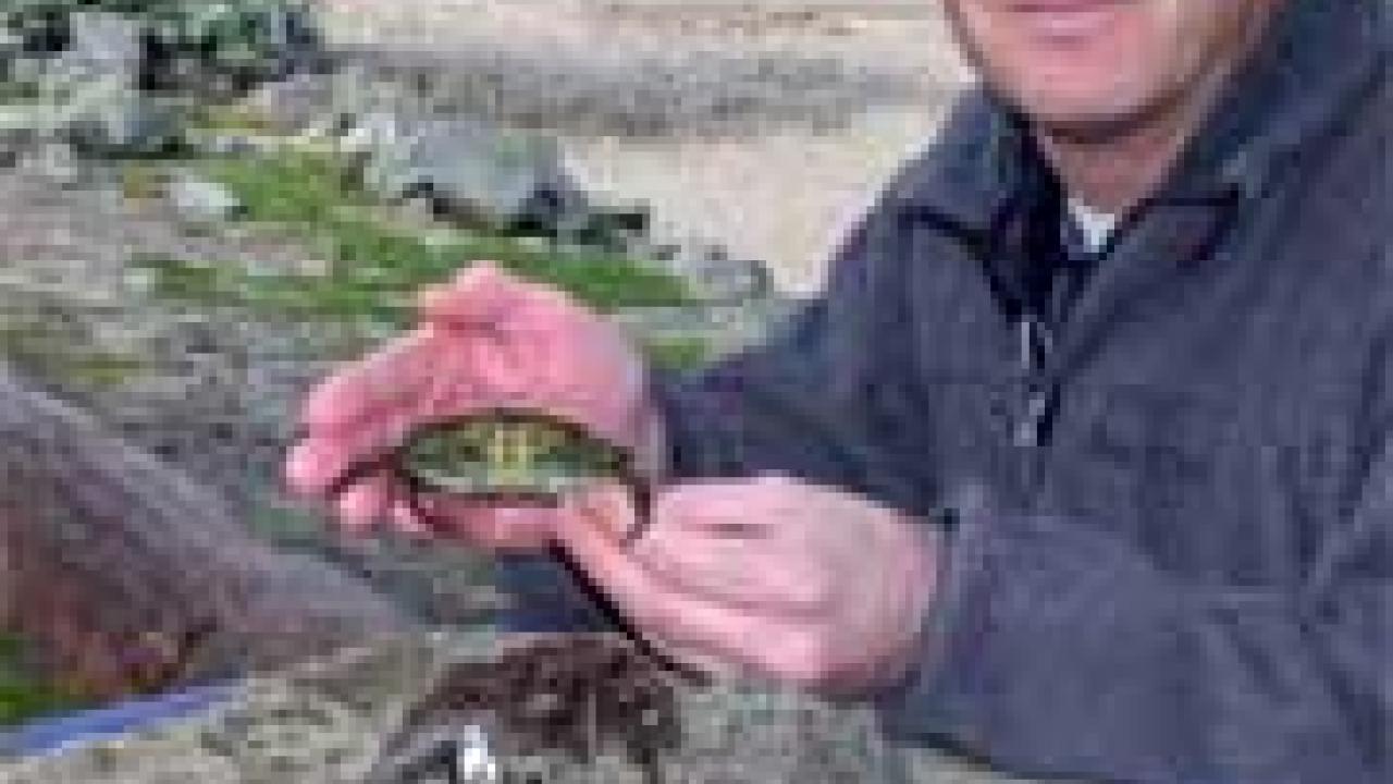 Photo: man holding crab
