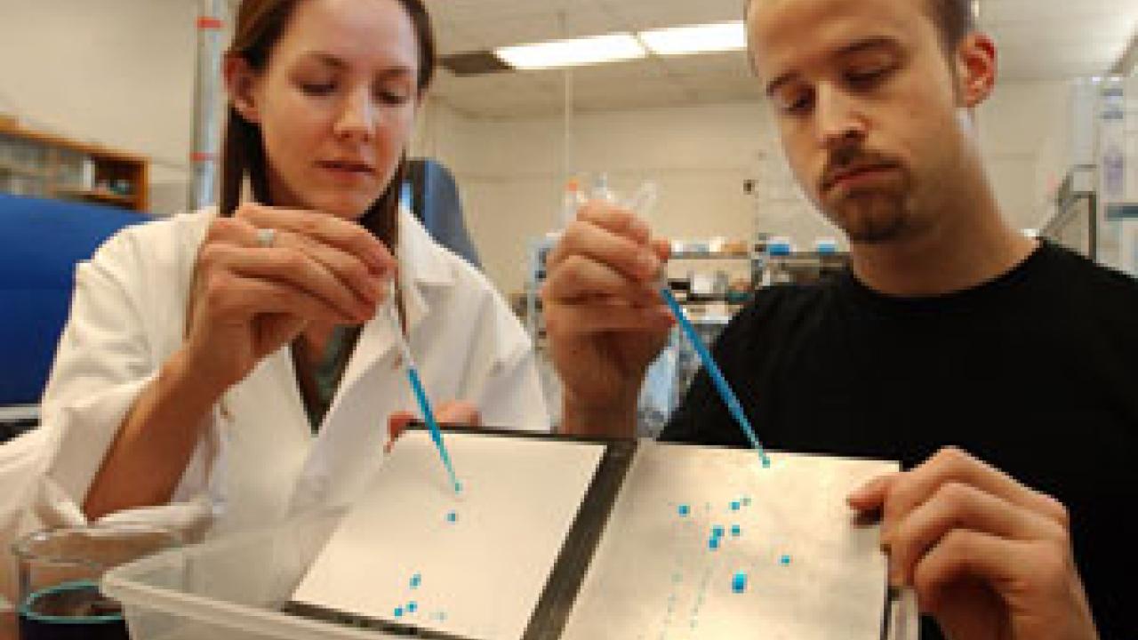 Kara Schmelzer and Aaron Clements demonstrate the properties of a new paint. Through a new progam in business development, they are teaming up to bring a more durable ship paint to market.  