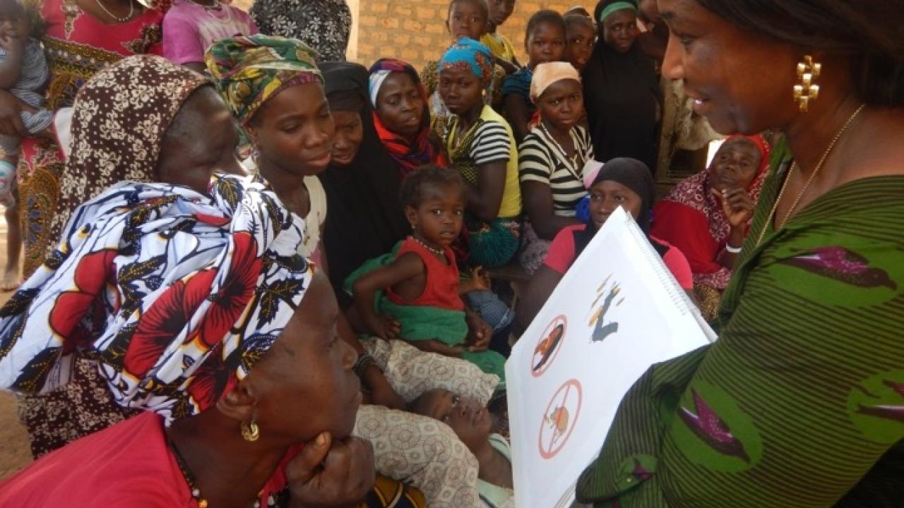Veterinarian educates residents in Guinea about bats and health. 