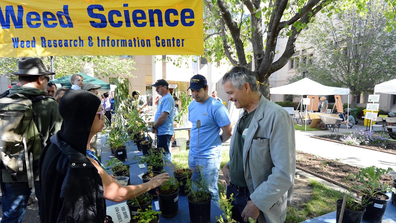 Guy Kyser, far right, speaks to an attendee at Picnic Day.