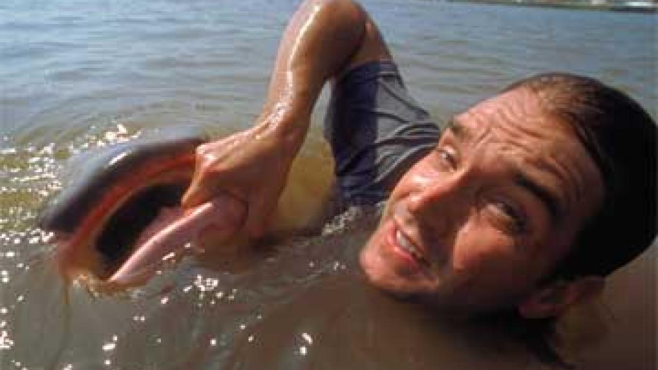 Photo: Swimming man holding lip of giant fish
