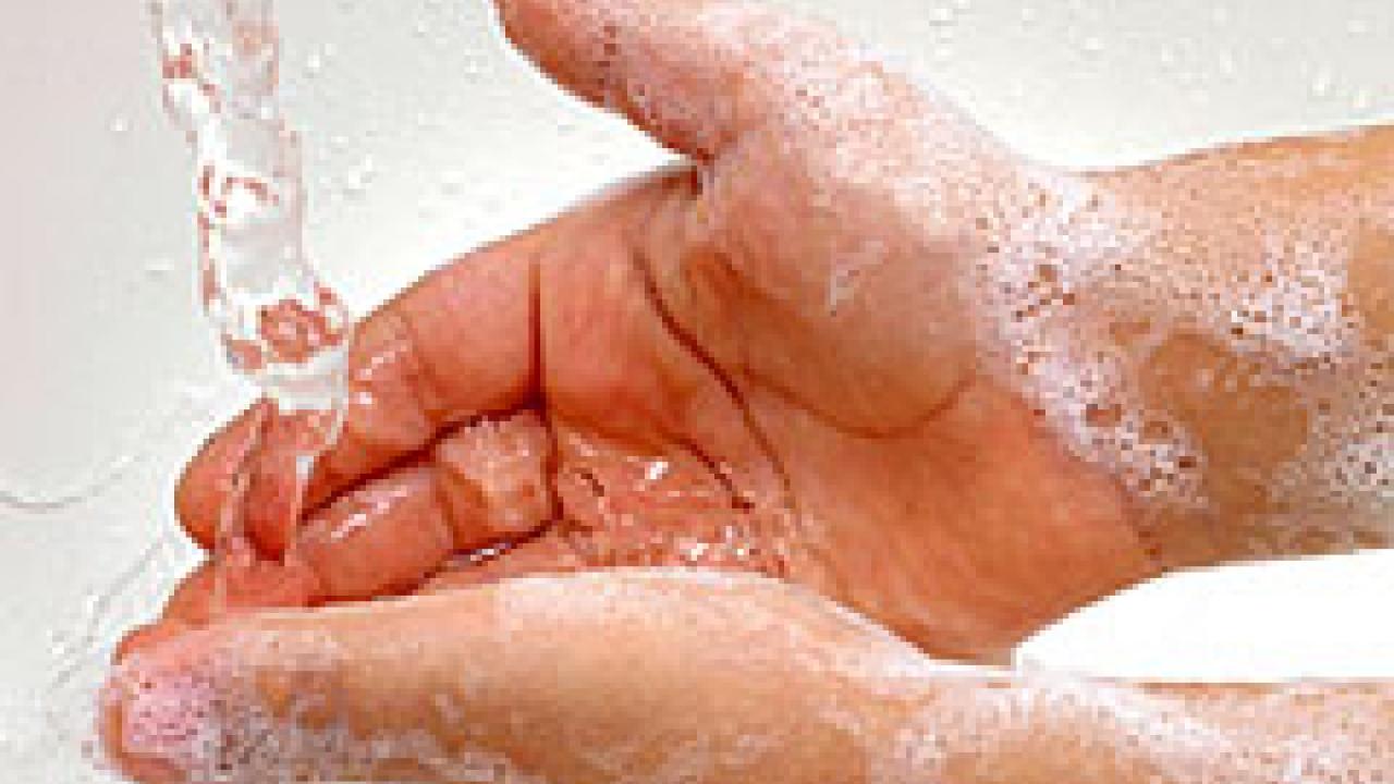 Photo: sudsy hands under faucet