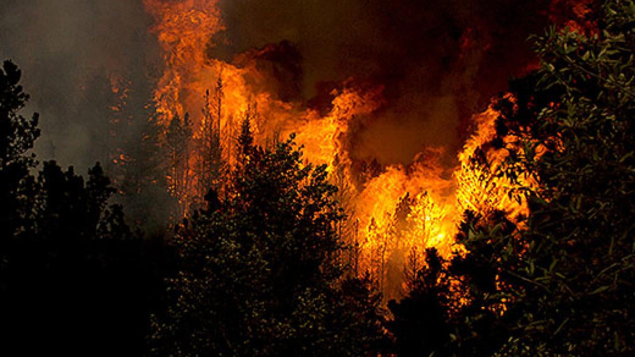 Photo: Wildfire at night