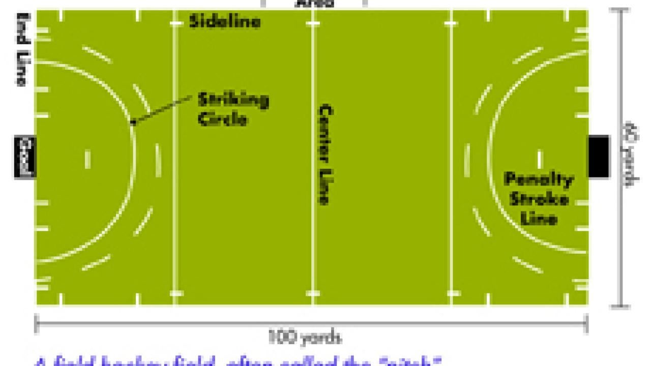 OBJECT OF THE GAME: To hit the ball from within the striking circle, through the opponent's goal, to score points. The team with the most goals wins the game. There are 11 players on the field per team.