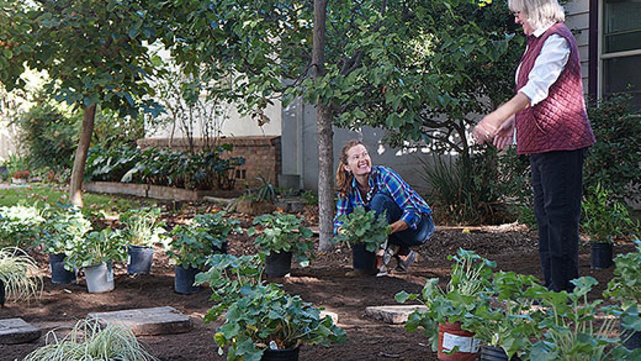 Photo: Woman crouching and planting with standing woman holding out her hand.