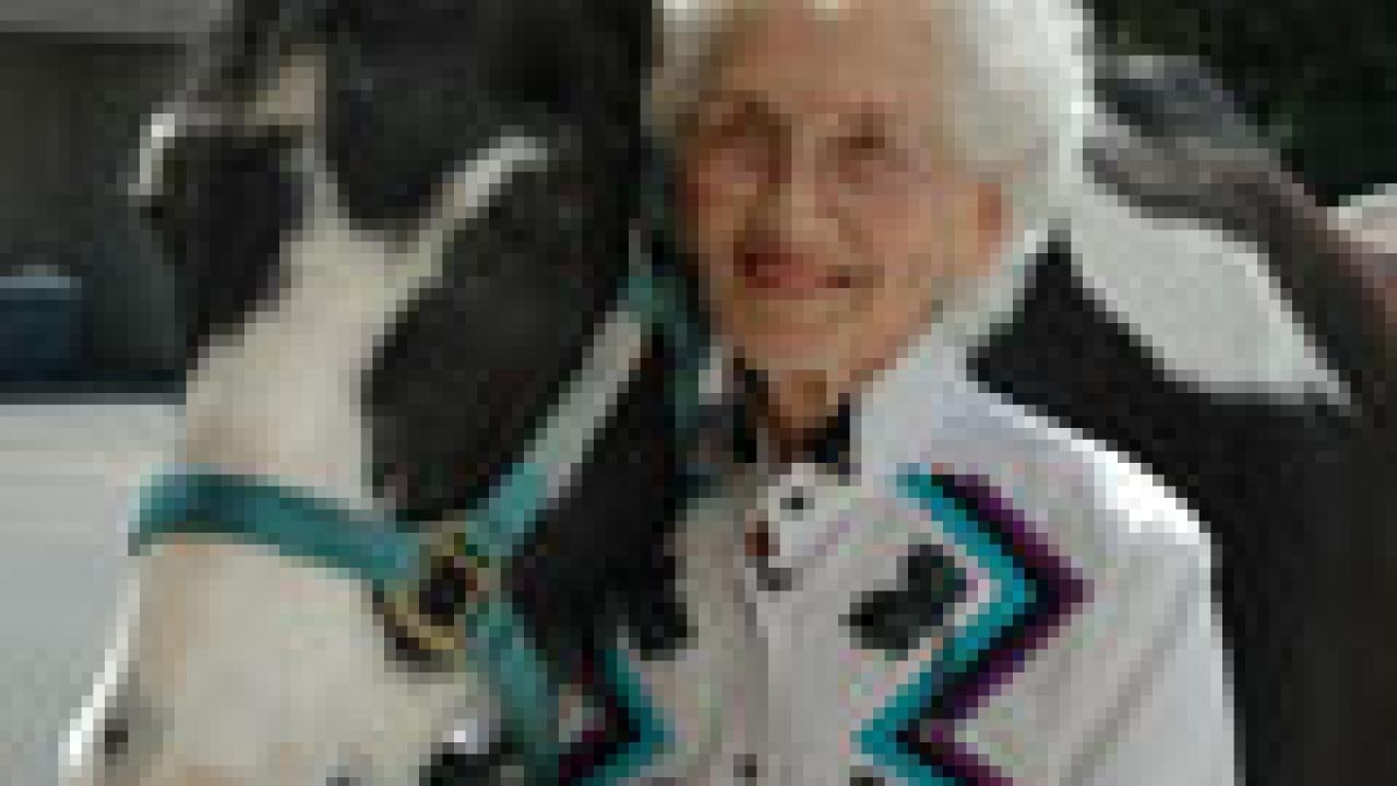 Peggy Narducci and Dino on May 5, during one of Narducci&rsquo;s twice-a-day
visits with her ailing horse at UC Davis.