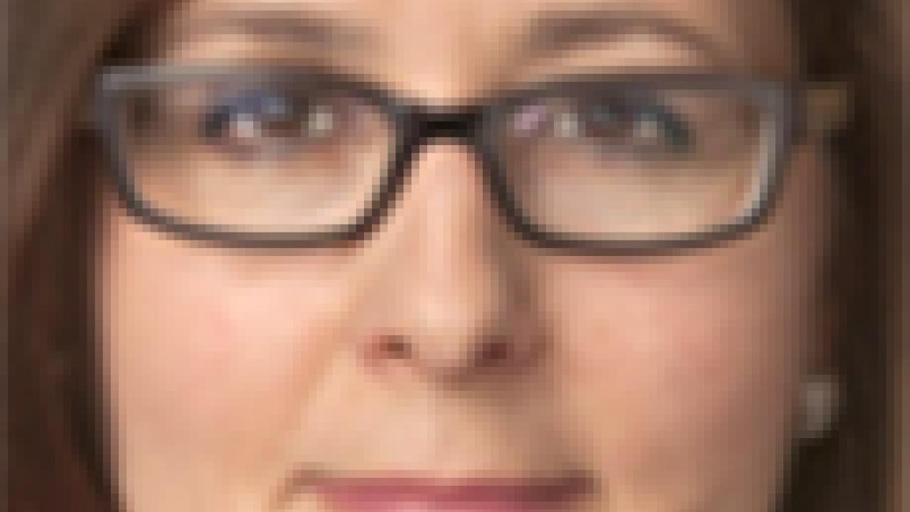 Photo: Debra Humphreys mugshot