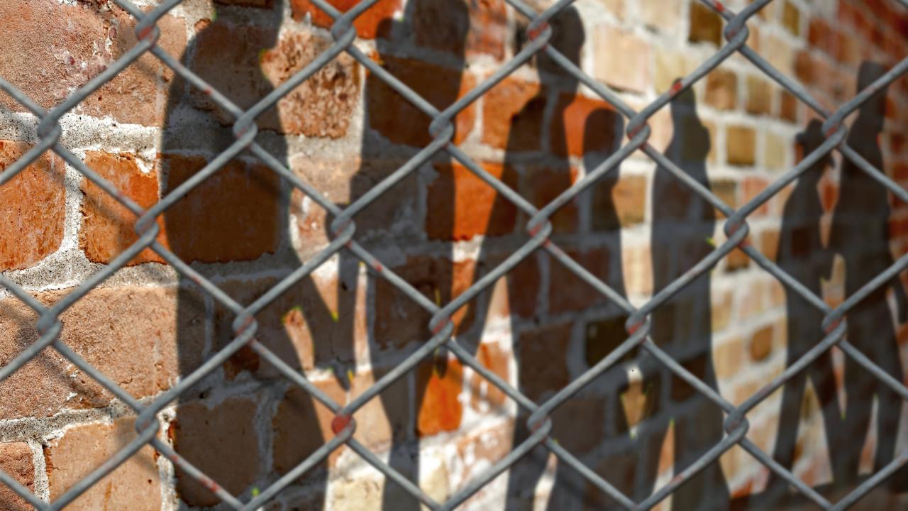 Shadows of people behind fence