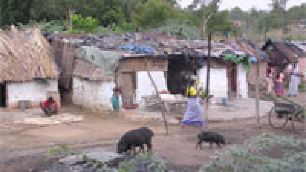 This village in Hydrabad, India, is along the way to the International Crops Research Institute for the Semi-Arid Tropics, a potential UC Davis partner dedicated to improving the lives of poor farmers in Africa and India.