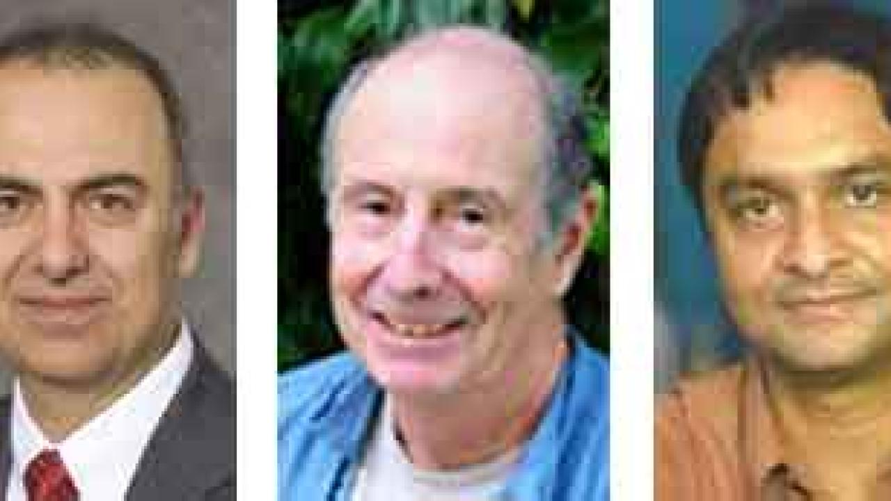 Mugshots (3): Kyriacos A. Athanasiou, Bruce D. Hammock and M. Saif Islam