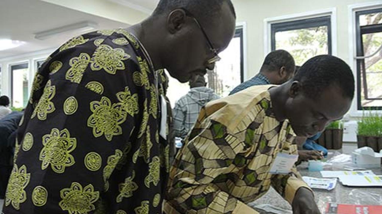 Two men in colorful African shirts lean over a counter