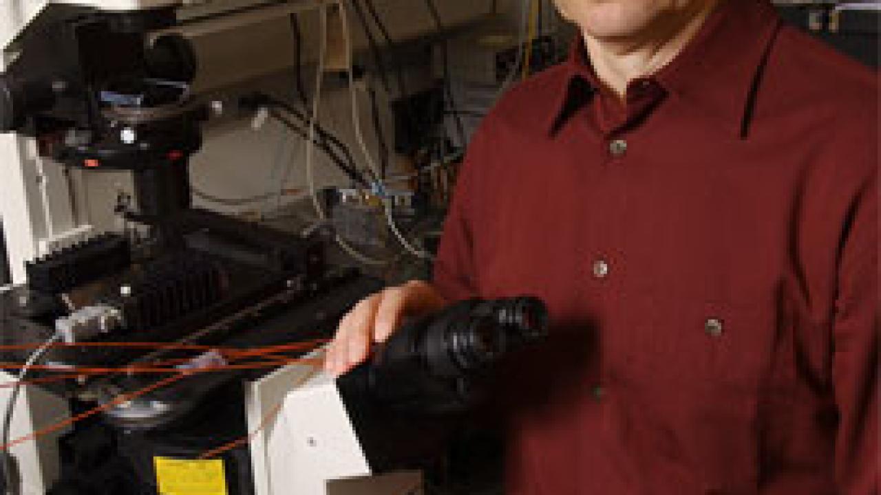 Stephen Kowalczykowski&rsquo;s work has helped scientists watch DNA repair processes. 