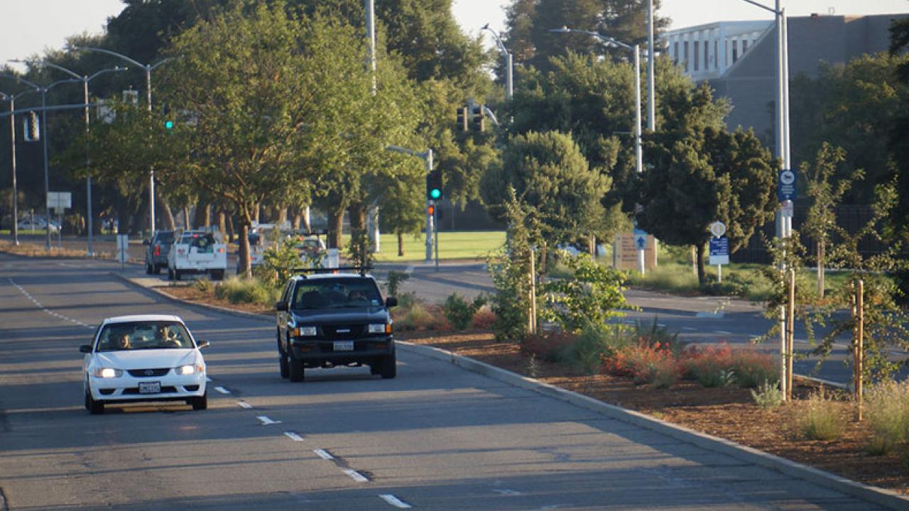 Photo: La Rue Road median