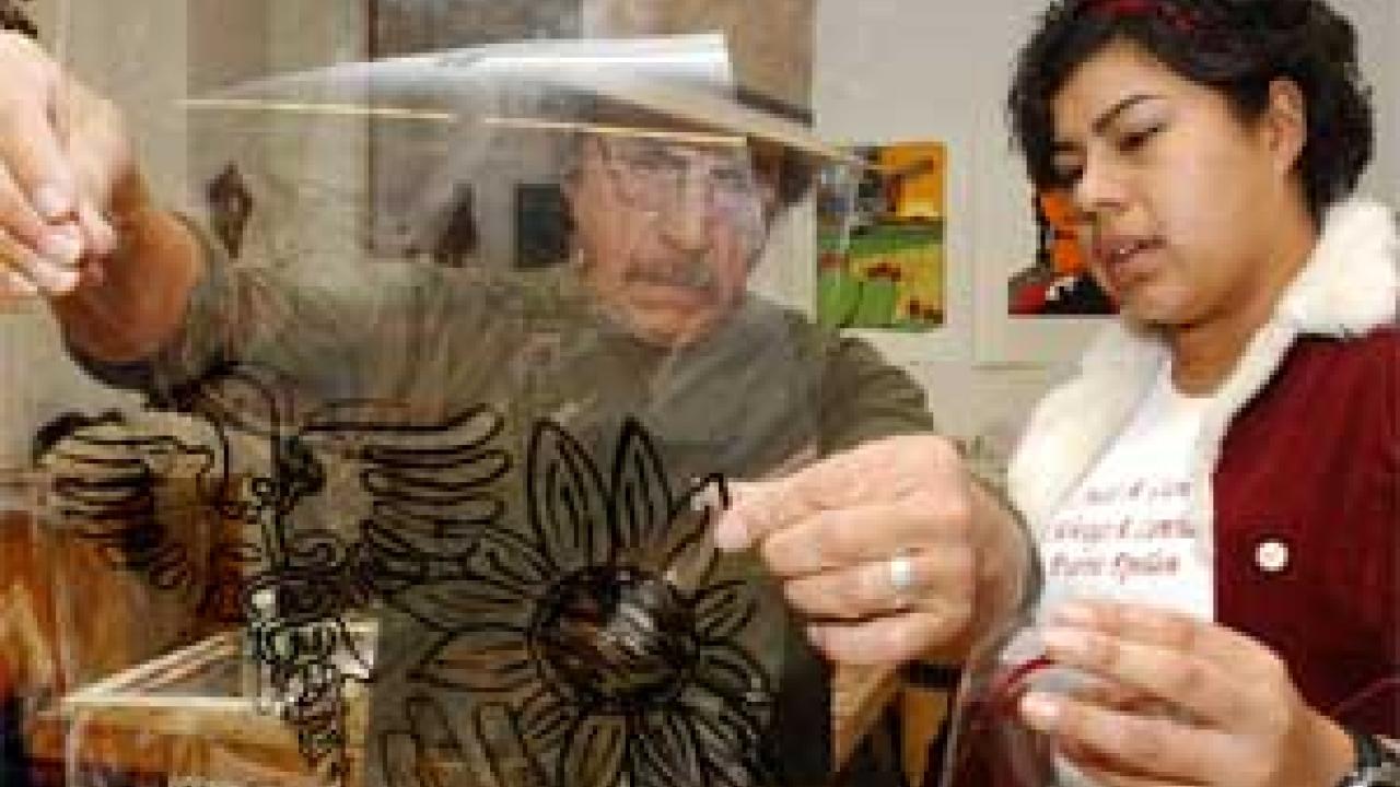 Photo: Man and woman examine silk-screen transparency.