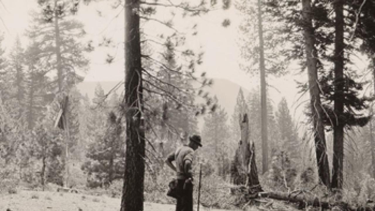 Photo: old photo of man in hat in forest