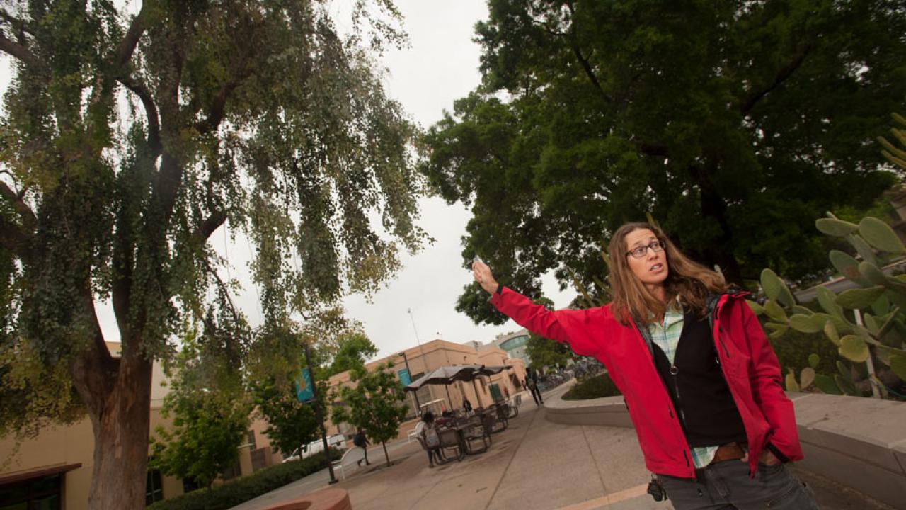 Melanie Gentles stands under eucalyptus tree.