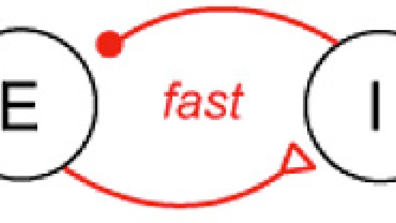 Excitatory (E) neurons hold the memory. If their activity begins to slip, fast negative feedback (red) mediated by inhibitory (I) neurons can correct this slip before slower positive feedback loops (blue) bring the circuit back into balance.