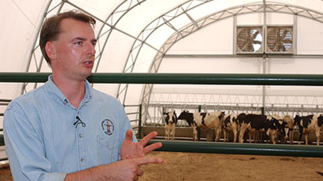 Photo: Frank Mitloehner sitting at the computer