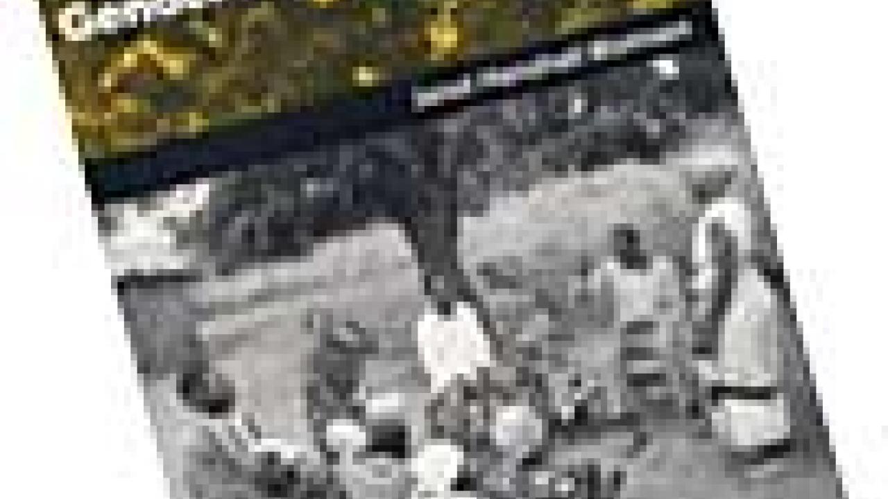 Photo: book cover of "Gender and Development"