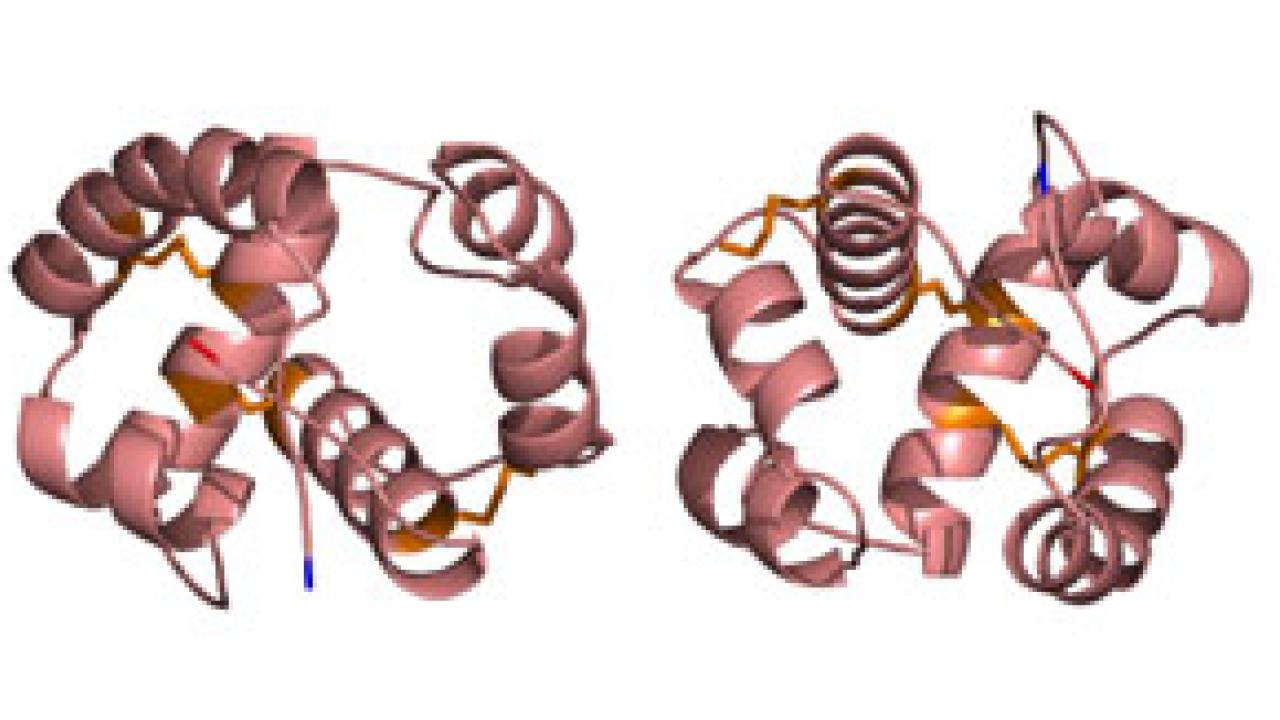 Graphic: two structures showing curled pieces attached by wires.