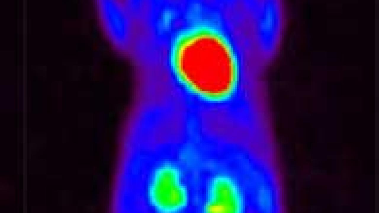 Photo: Gray mouse on a glass block