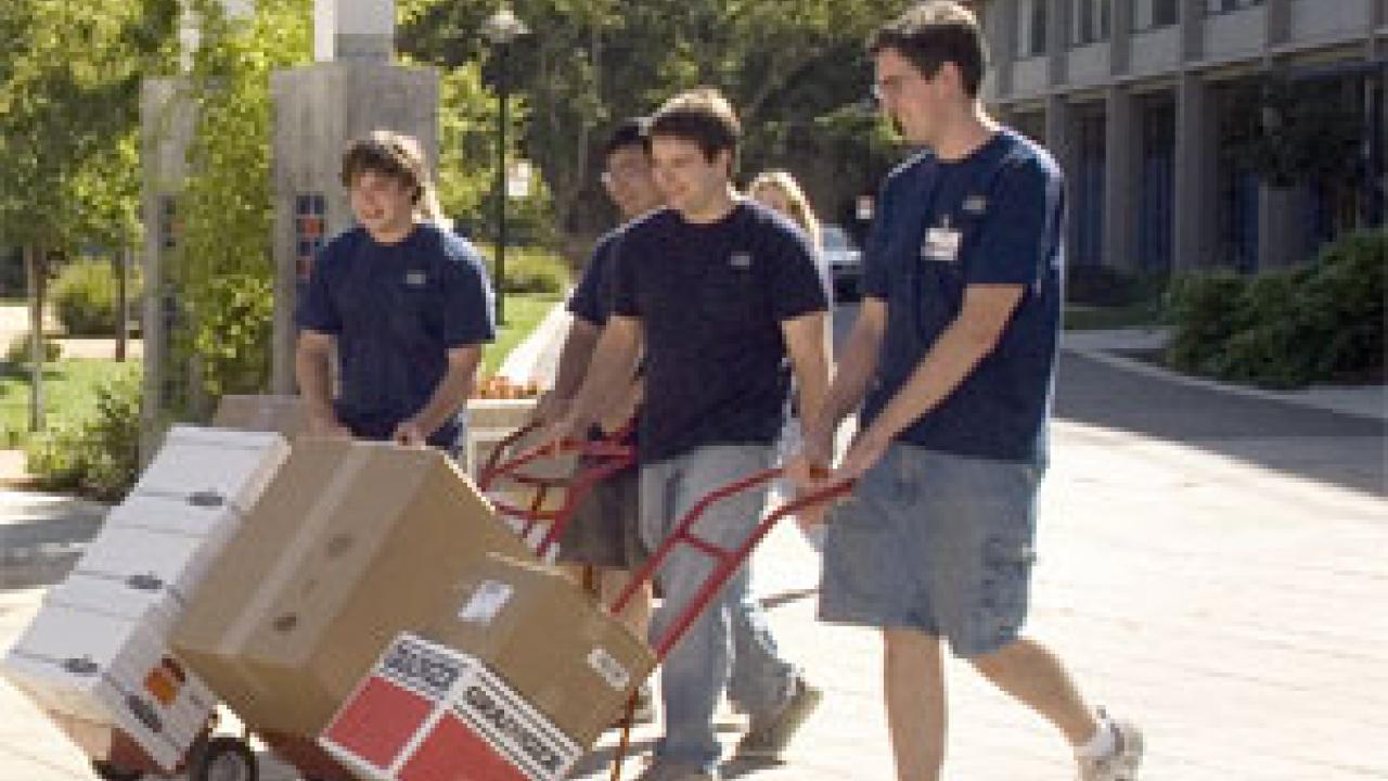 Photo: men with boxes on dollies