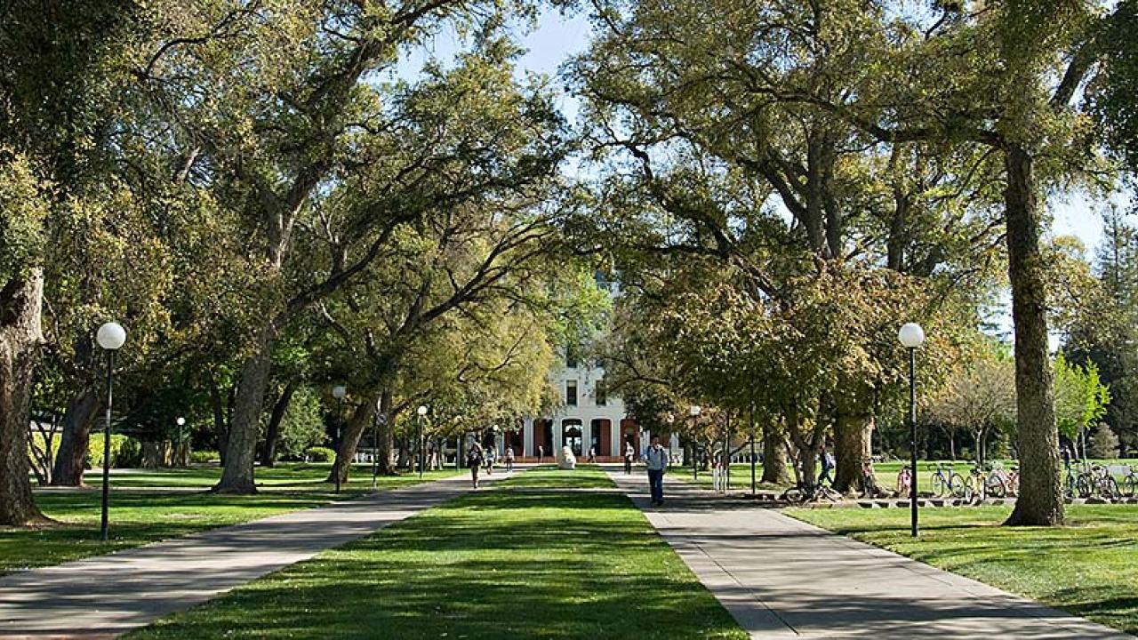 View of Mrak Hall mall walk to the UC Davis administration building with many trees
