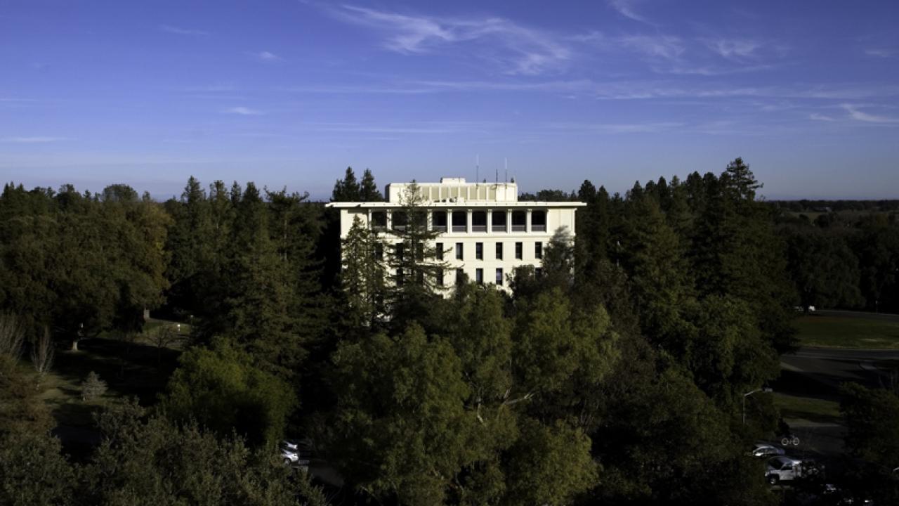 Photo" Mrak Hall, amid sea of trees