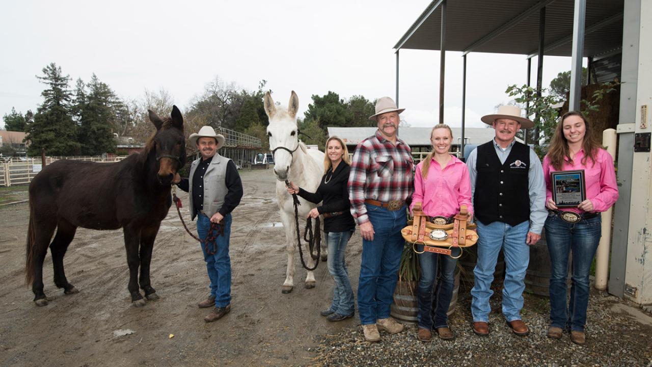A ceremonial saddle is presented to members of the UC Davis packing team.