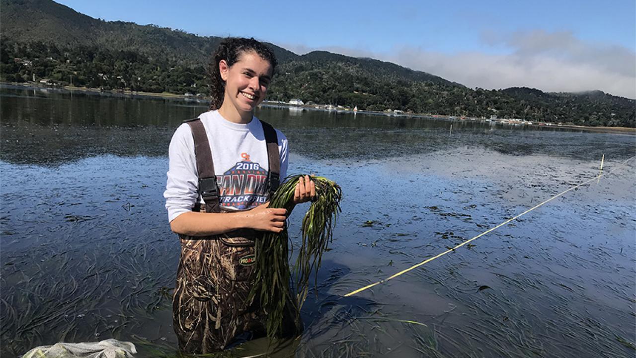 A female student in waders stands in water with eel grass