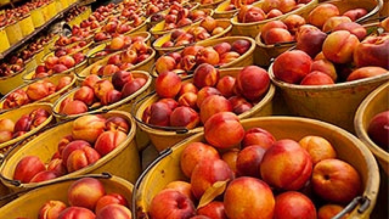 Baskets of nectarines