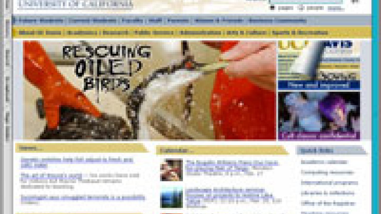 New campus Web templates will ultimately be made available to units wanting to adapt their sites. 