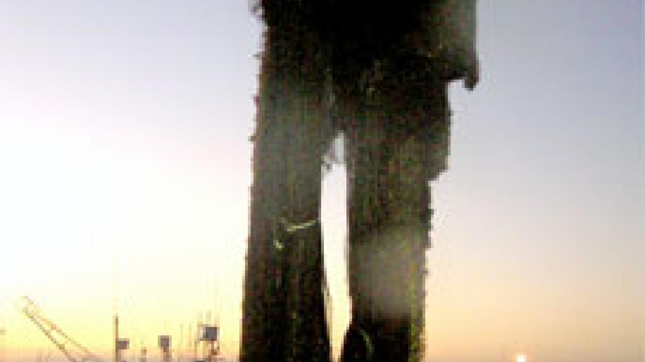 photo: heavy net hangs near dock in harbor