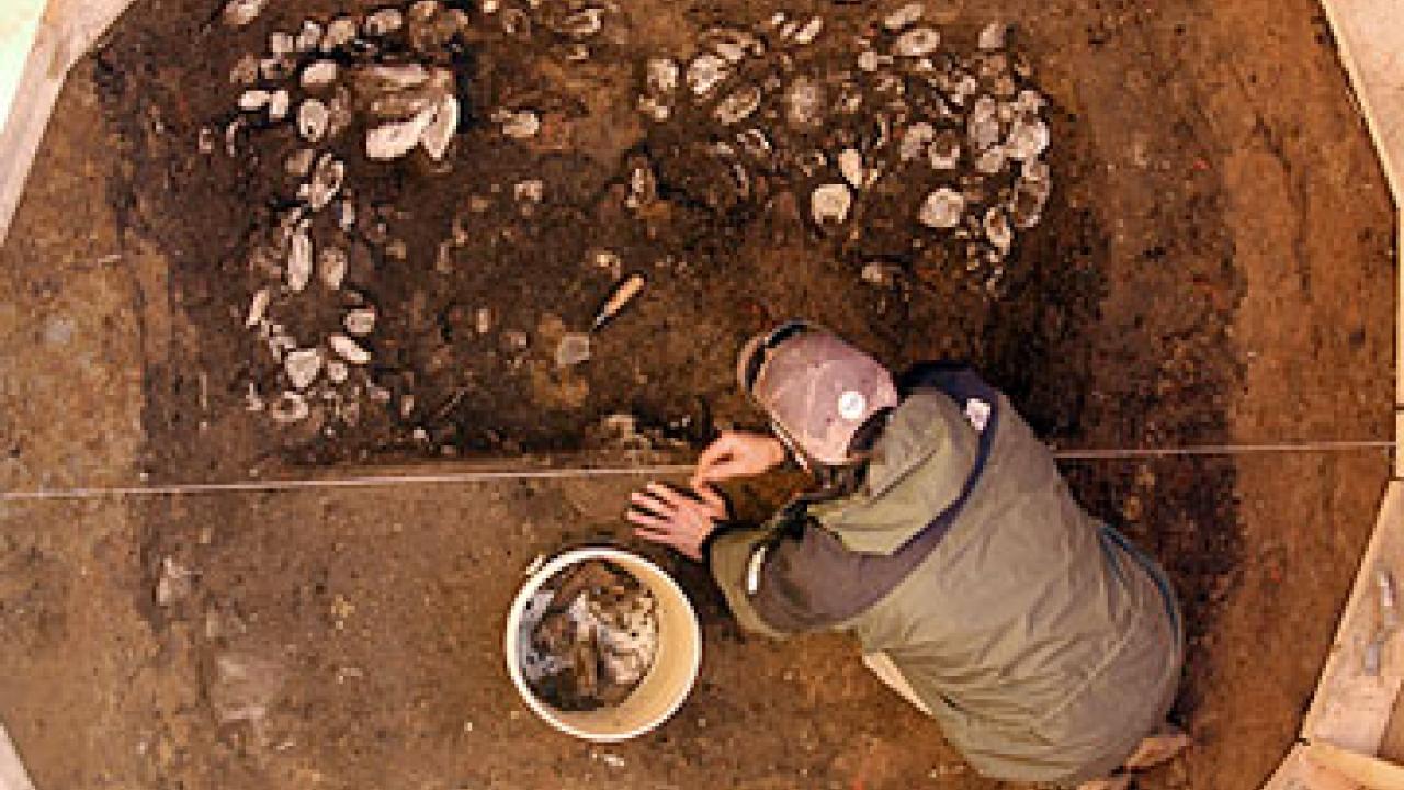 Photo: Person excavating oyster shells with bucket