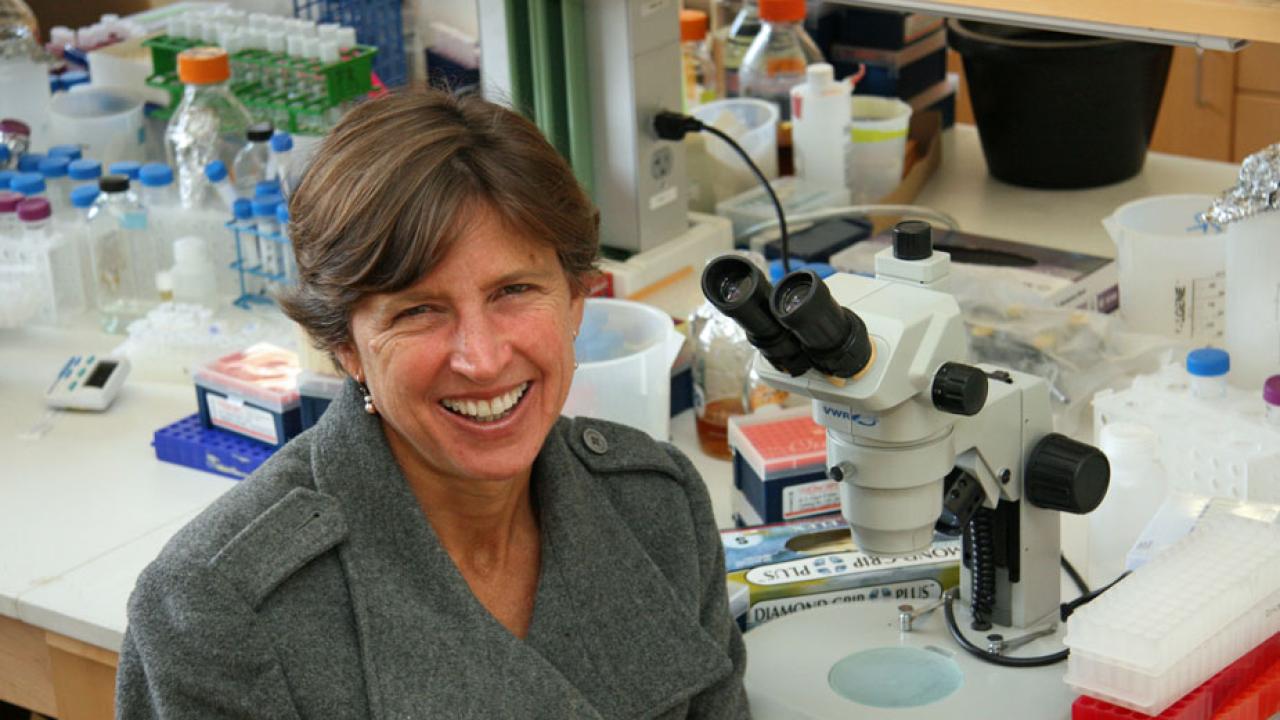 Pam Ronald looks at camera, from lab bench with micropscope.