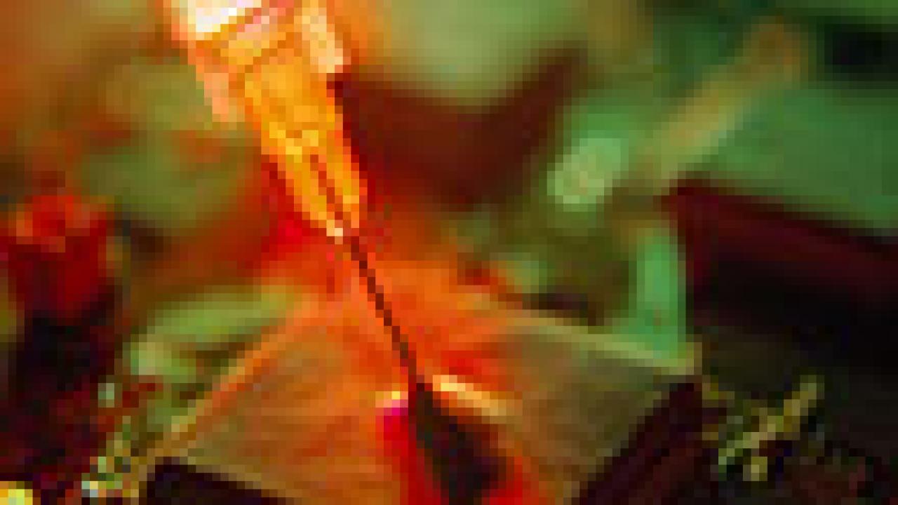 Photo: hypodermic needle piercing square