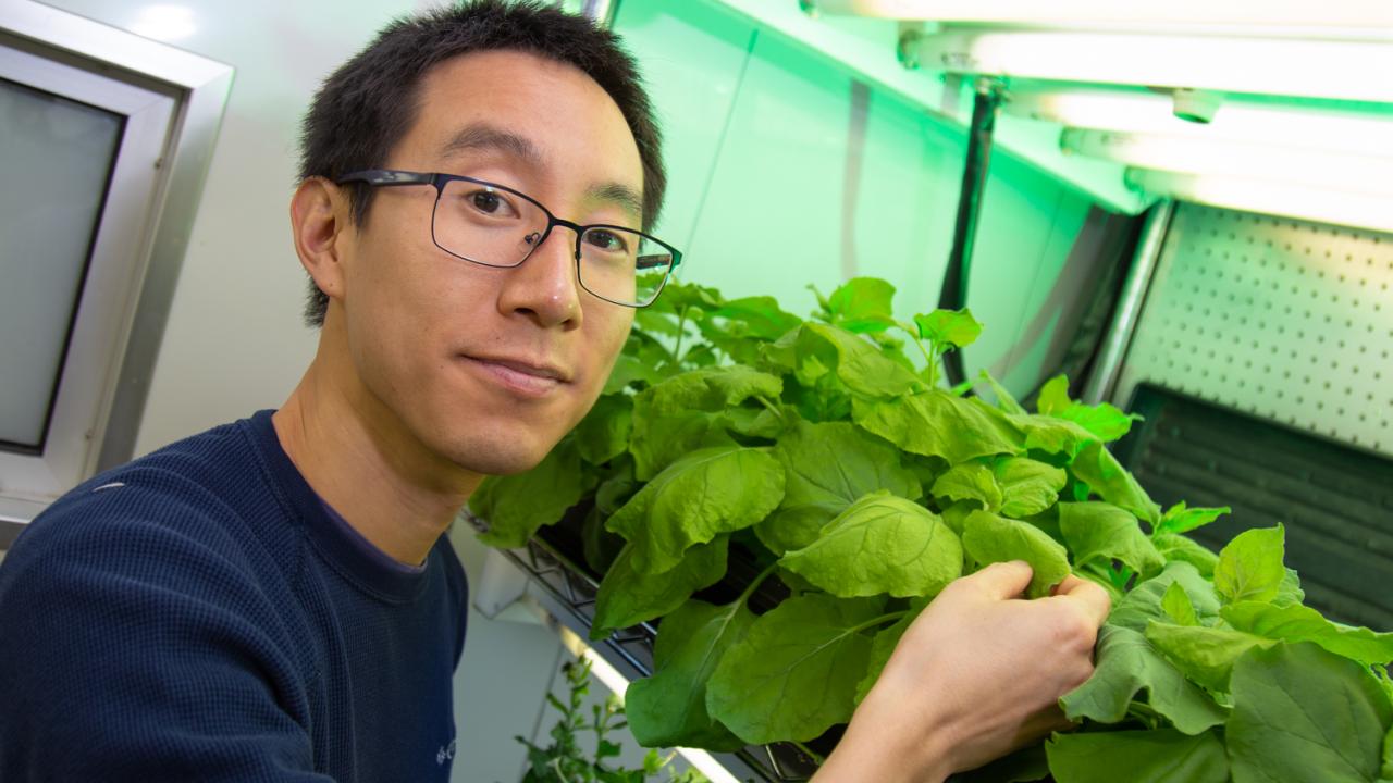 Plant biologist and Sloan Fellow Patrick Shih