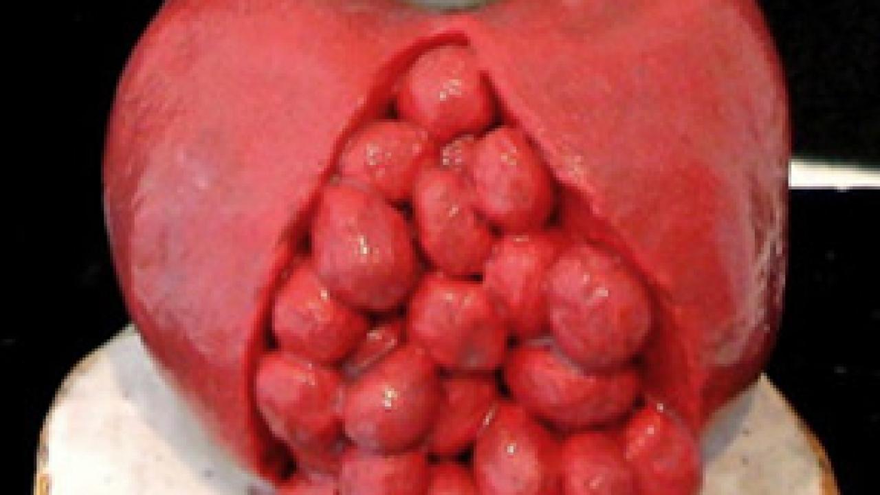 Photo of artist's work: Pomegranata, ceramic.