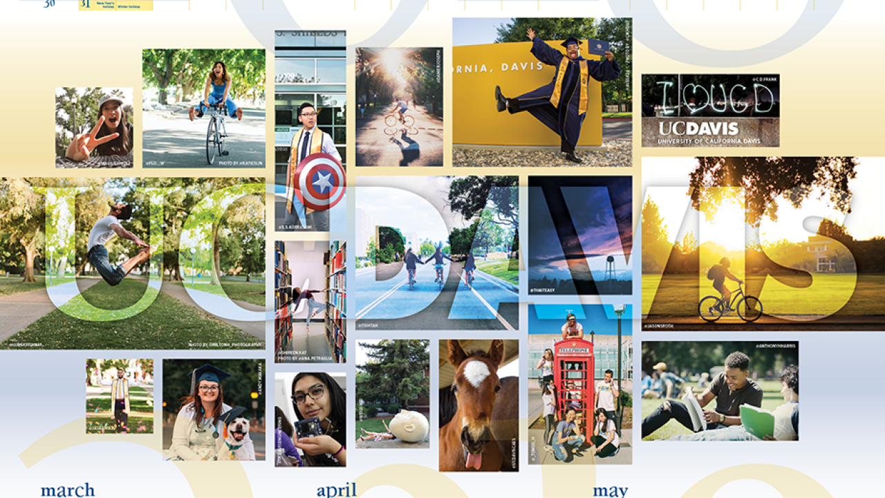 2018-19 campus poster calendar, cropped