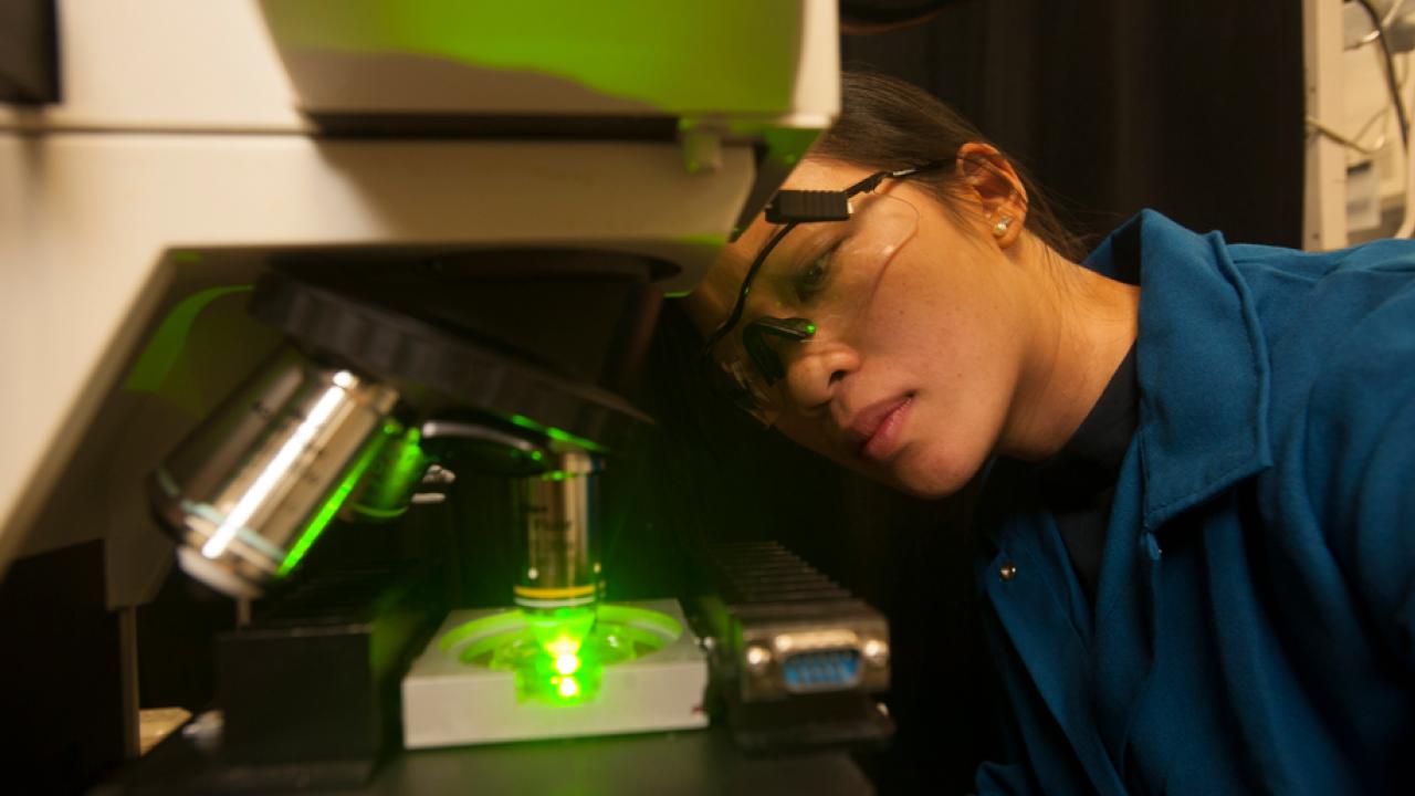 Researcher at microsope