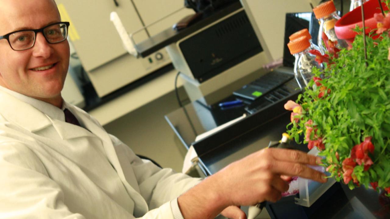 A UC Davis alumnus is helping develop &lsquo;Petunia Circadia,&rsquo; a flower that changes colors throughout the day