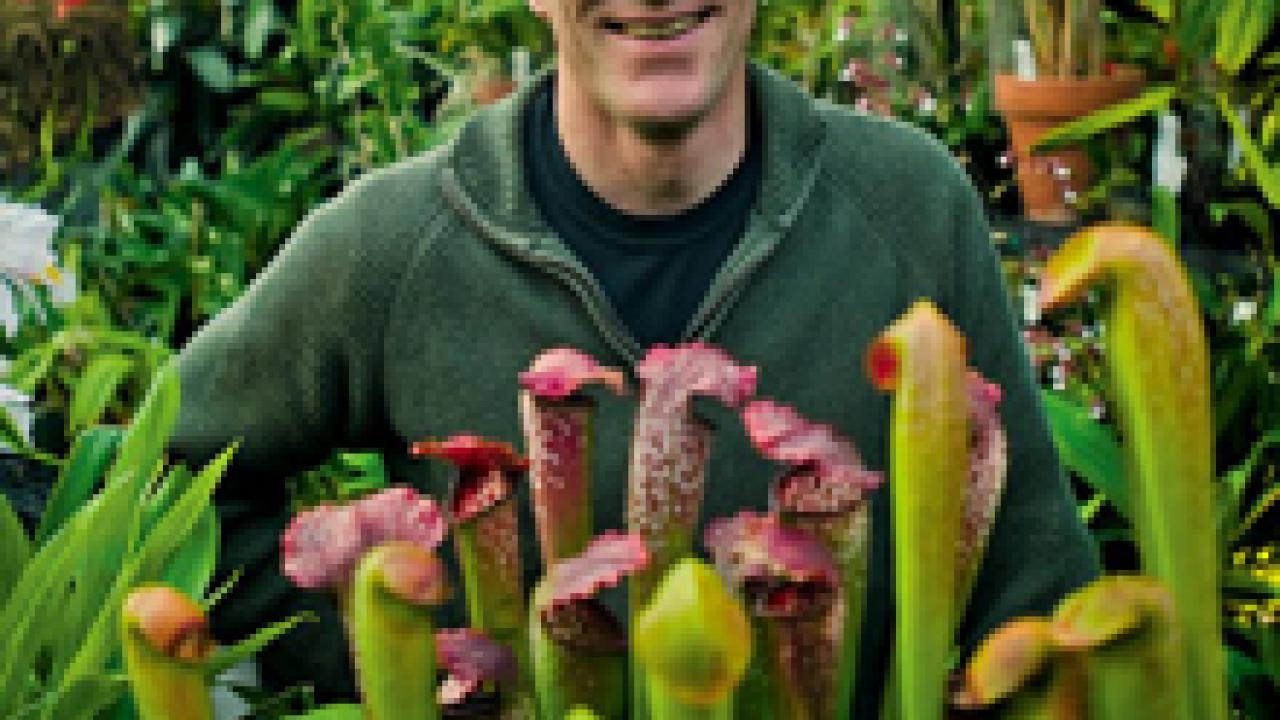 Carnivorous plant expert Barry Rice is shown here in the UC Davis Botanical Conservatory, which houses more than 3,000 plant species, including carnivorous plants like these shown here.