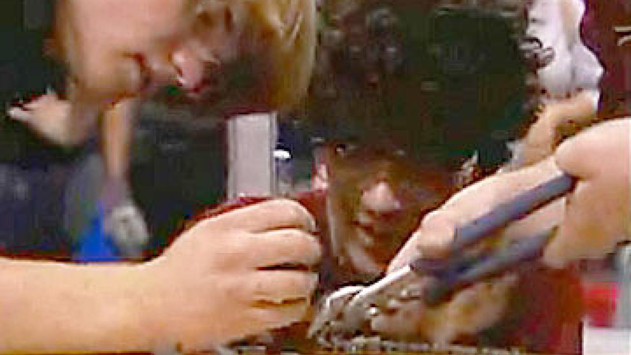 Photo: close-up of student working with tools with another watching at eye-level to the table